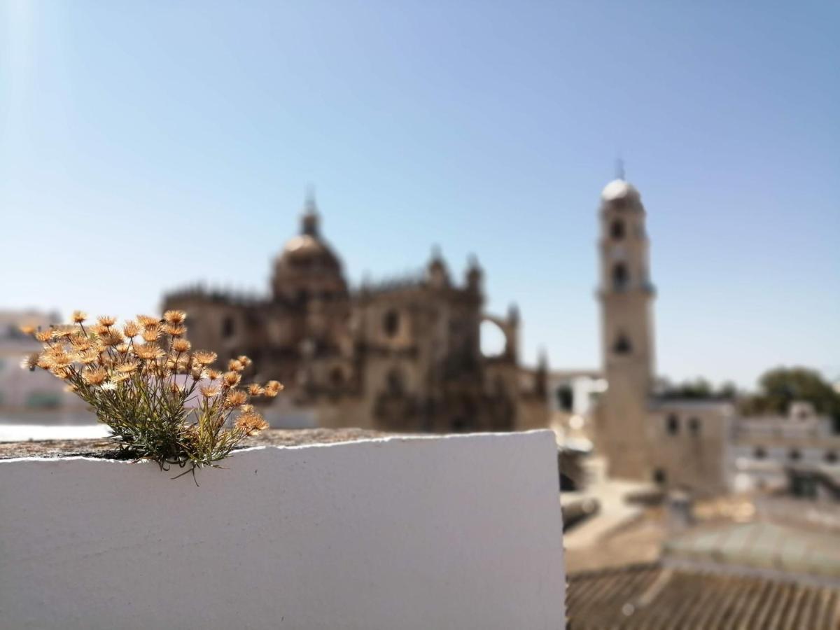 Bellas Artes Catedral เฮเรซ เด ลาฟรอนเตรา ภายนอก รูปภาพ